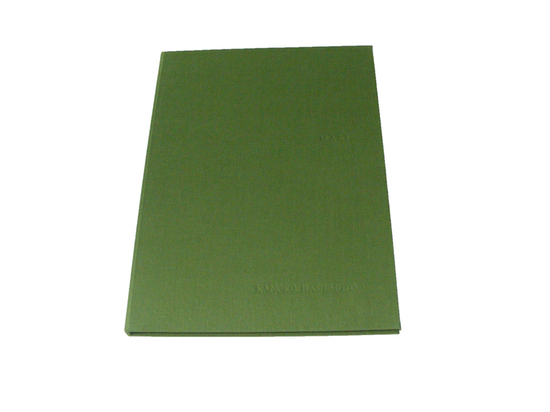 Kanoko Hashimoto MARI Earthtracks 3