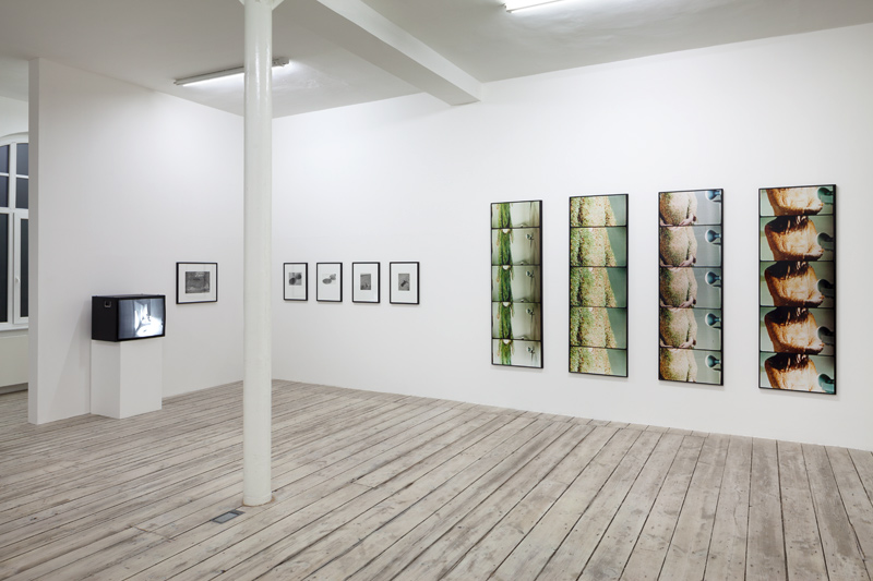 Luescher Mendieta Murak Exhibition View 1