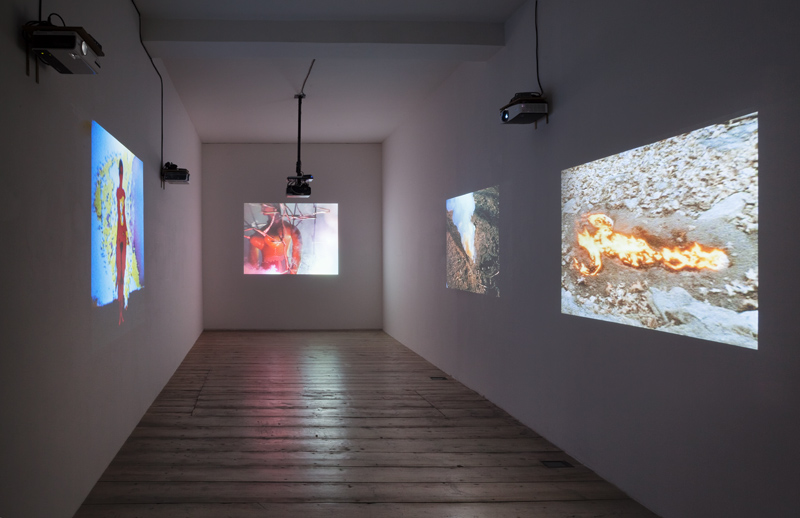 Luescher Mendieta Murak Exhibition View 2