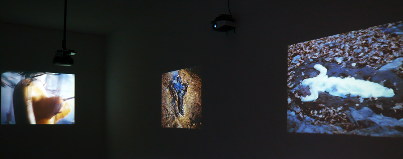 Luescher Mendieta Murak Exhibition View 3