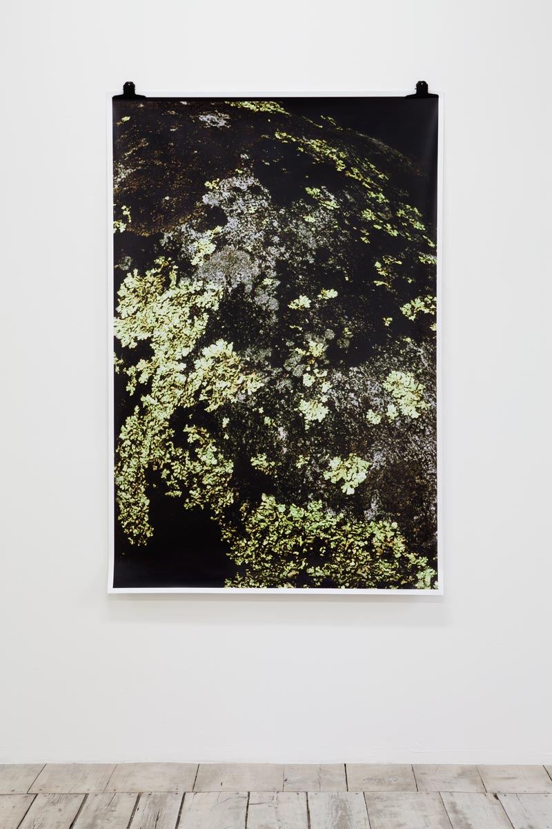 Ingeborg Luescher 300 Million Years I