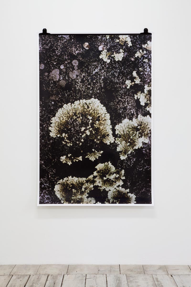 Ingeborg Luescher 300 Million Years III