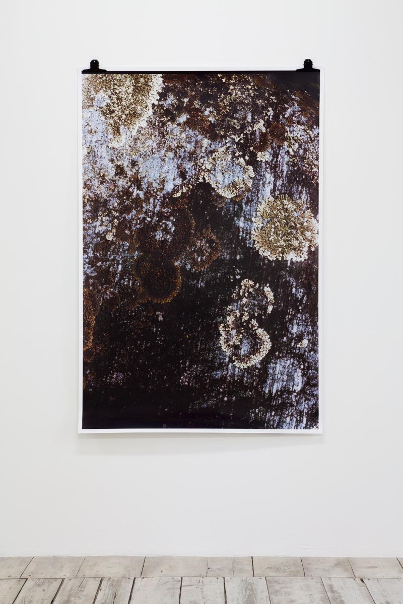 Ingeborg Luescher 300 Million Years II