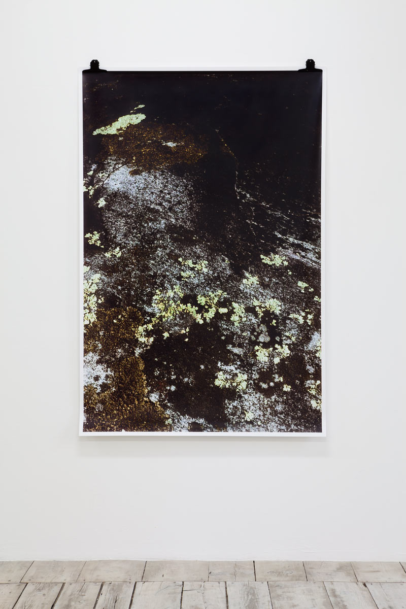 Ingeborg Luescher 300 Million Years X