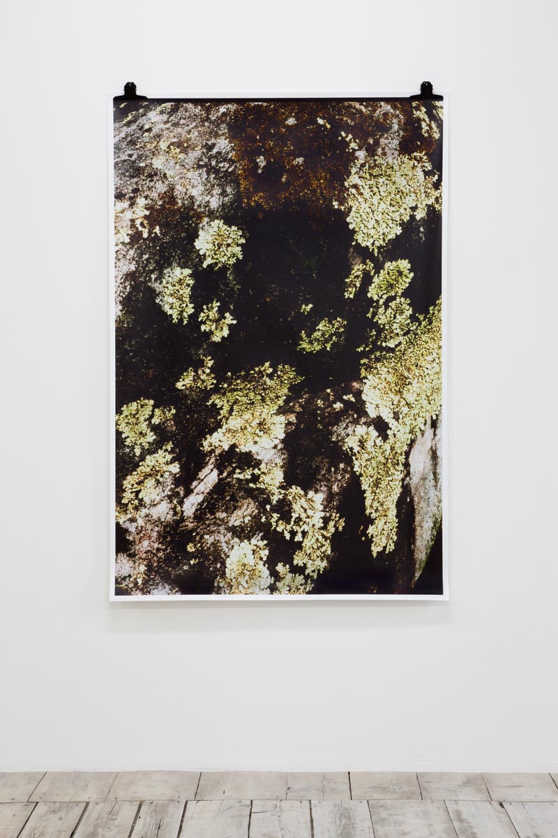 Ingeborg Luescher 300 Million Years XVI