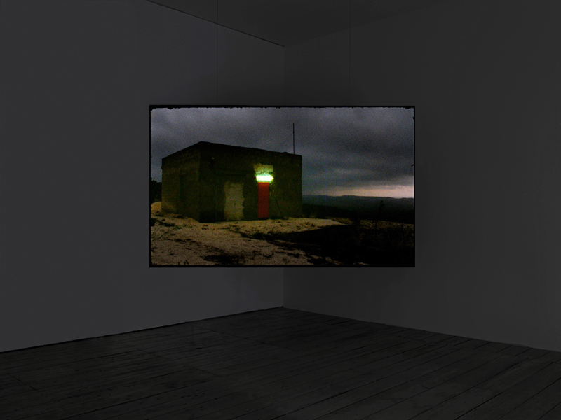 Marco Poloni Disappearance of the Fireflies 3