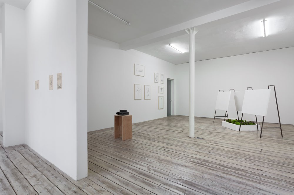 Nikita Kadan Limits of Responsibility exhibition view 1